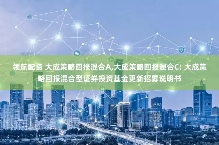 领航配资 大成策略回报混合A,大成策略回报混合C: 大成策略回报混合型证券投资基金更新招募说明书