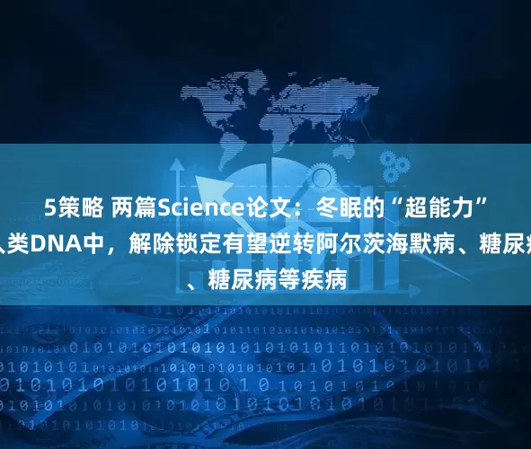 5策略 两篇Science论文：冬眠的“超能力”被锁在人类DNA中，解除锁定有望逆转阿尔茨海默病、糖尿病等疾病
