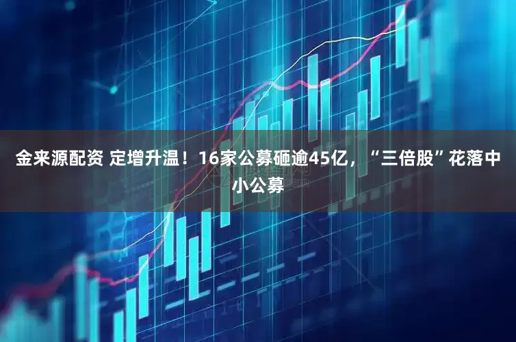 金来源配资 定增升温！16家公募砸逾45亿，“三倍股”花落中小公募