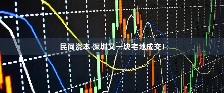 民间资本 深圳又一块宅地成交！