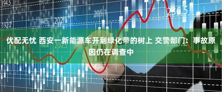 优配无忧 西安一新能源车开到绿化带的树上 交警部门：事故原因仍在调查中