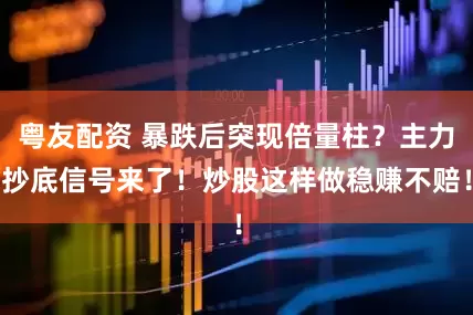 粤友配资 暴跌后突现倍量柱？主力抄底信号来了！炒股这样做稳赚不赔！