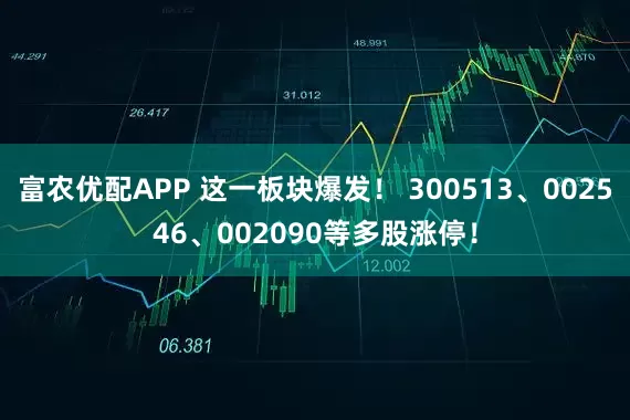 富农优配APP 这一板块爆发！ 300513、002546、002090等多股涨停！